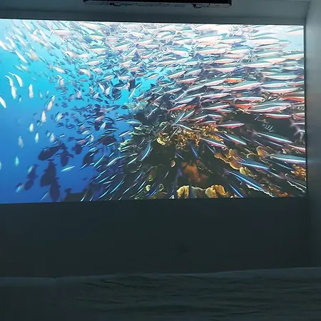 Les Delices Rooms-loveroom White *